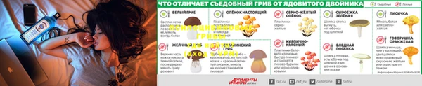 apvp Лабытнанги