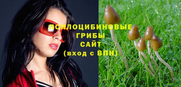 apvp Лабытнанги