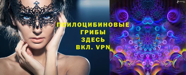 apvp Лабытнанги